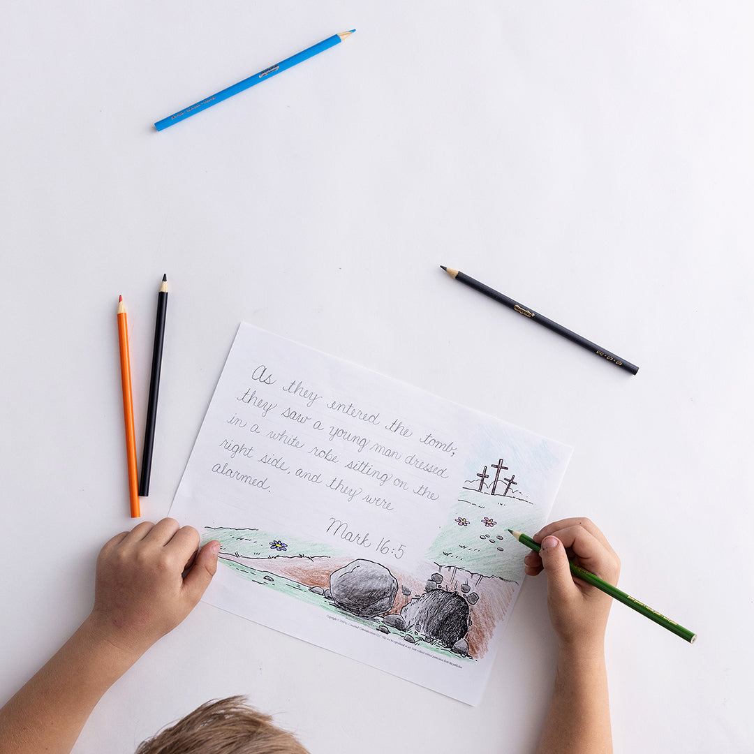 Handwriting Level C Set (with Revised & Updated Teacher Guidebook)