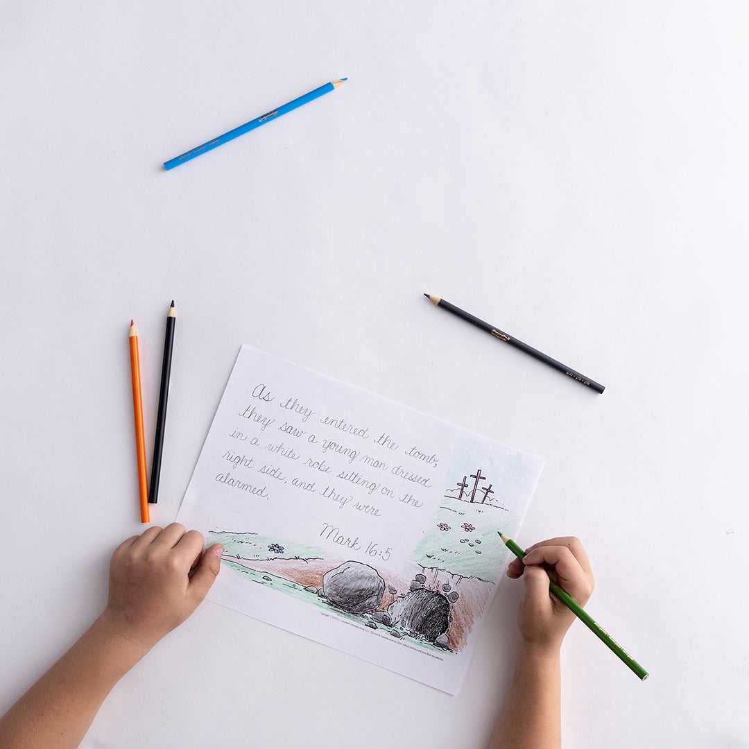 Handwriting Level D Set (with Revised & Updated Teacher Guidebook)