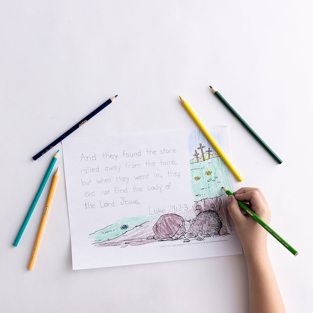 Handwriting Level T (Transition) Student Worktext