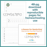 Handwriting Manuscript Number Practice Pages (Digital Download)