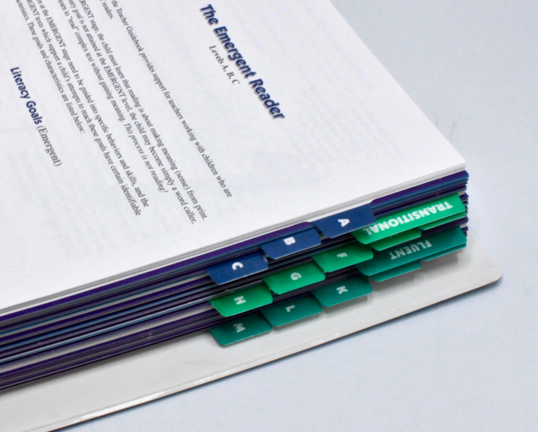 A Reason For Reading® Teacher Resource Binder + Story Guides