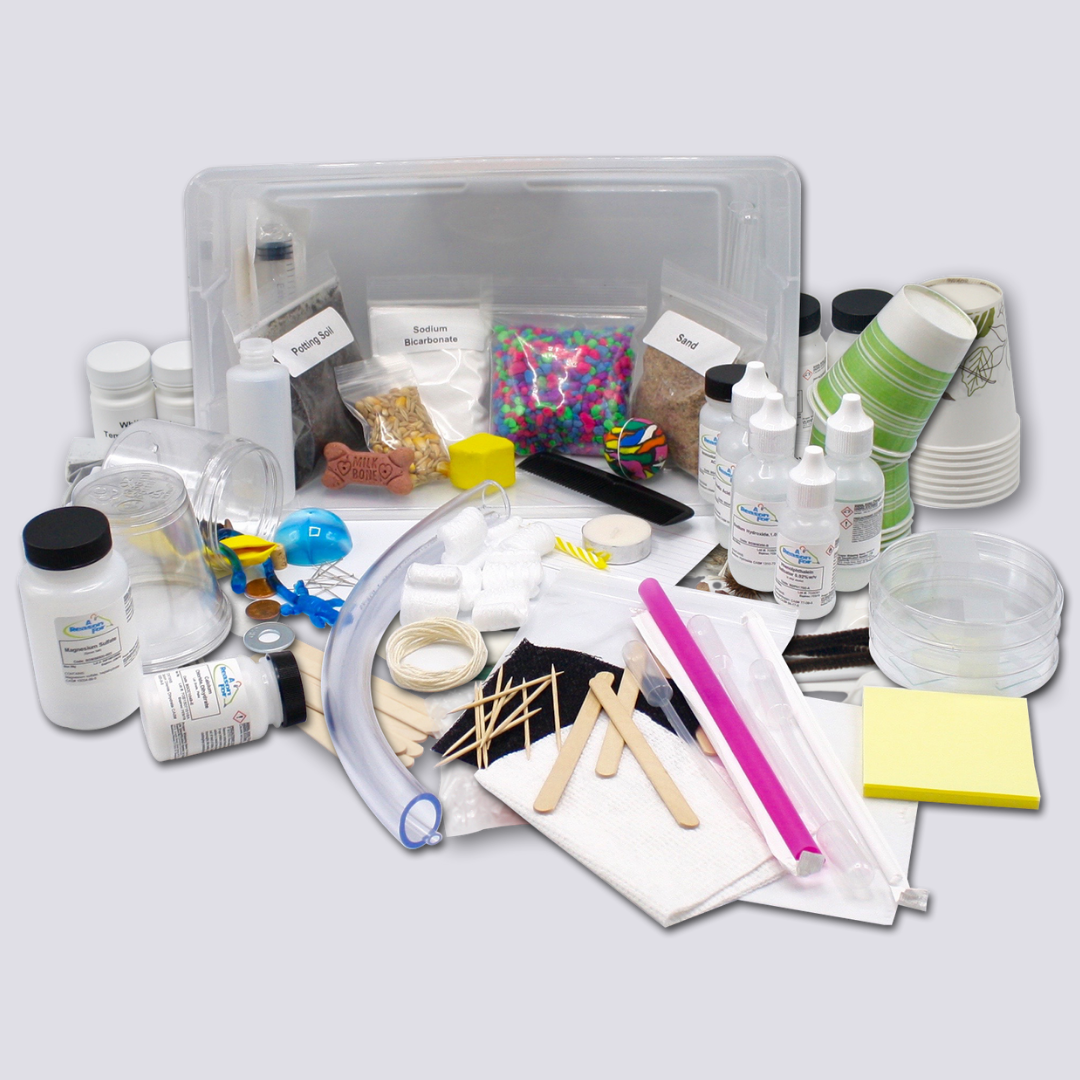 Science Level D Materials Kit